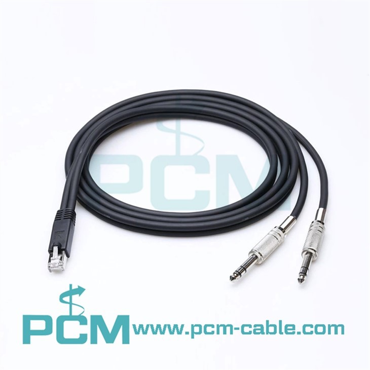 Bộ chuyển đổi Axia Dual 1/4 TRS sang RJ45 Nam